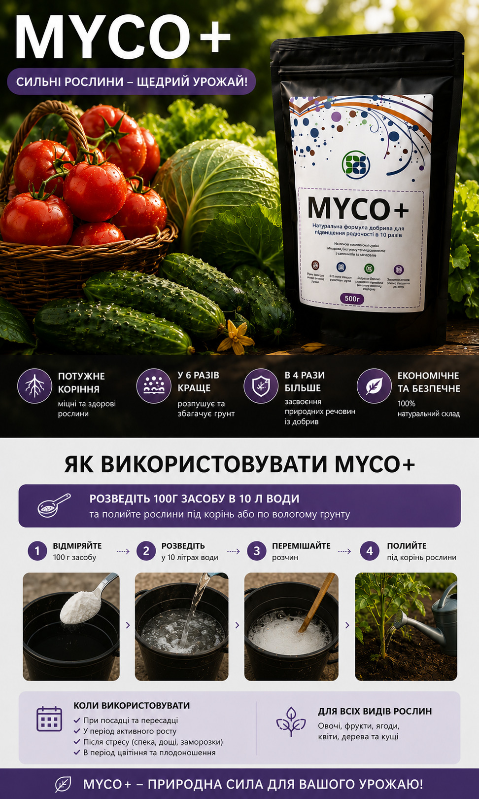 Стійкість сорту